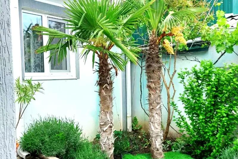 Фотогалерея гостевого дома На Ленина